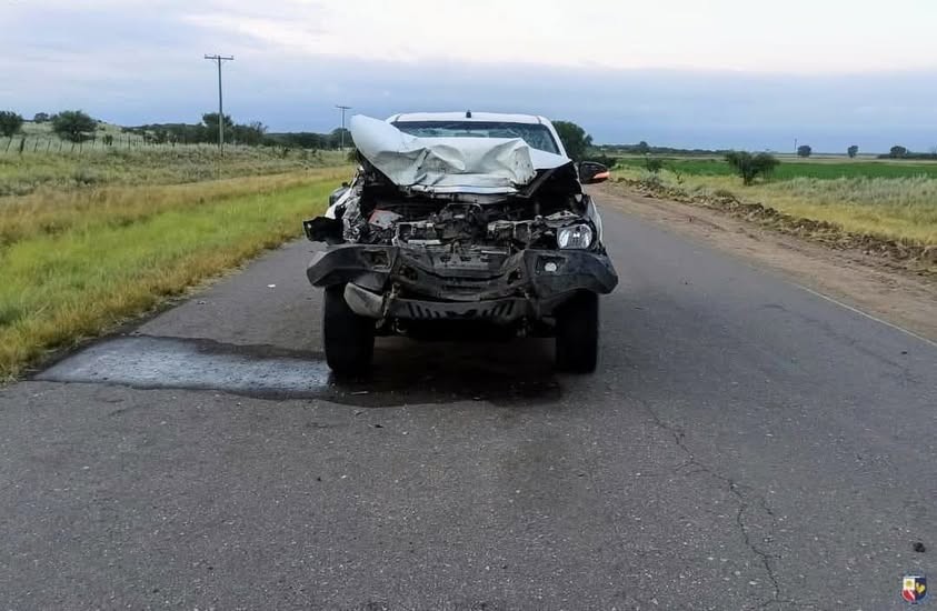 Camioneta embistió vacuno en RP Nº3 San Luis