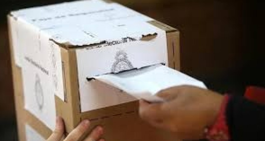  PASO: El Gobierno obtuvo dictamen para suspenderlas 