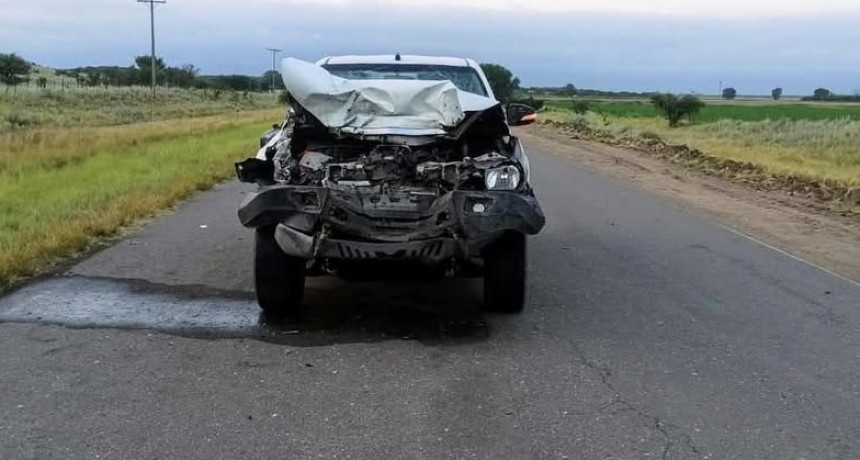 Camioneta embistió vacuno en RP Nº3 San Luis