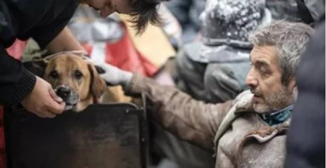  Puelo: El perro que le robó el corazón a Darín y se quedó en el de todos