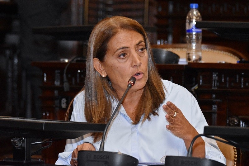 La diputada Lizana solicitó que los legisladores nacionales por Mendoza impulsen la modificación de la Ley 26377 - Convenio de Corresponsabilidad Gremial