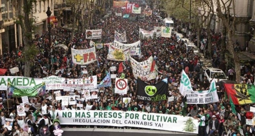 Marcha Mundial de la Marihuana 2025: la lucha por una nueva ley de drogas vuelve a las calles