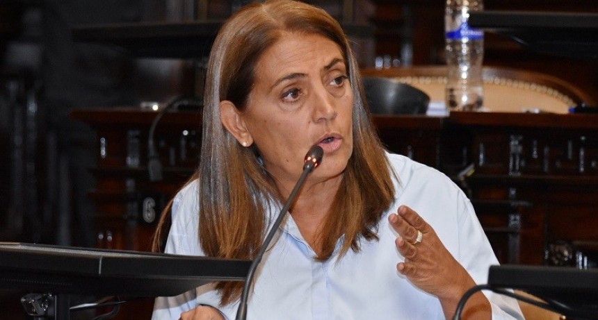 La diputada Lizana solicitó que los legisladores nacionales por Mendoza impulsen la modificación de la Ley 26377 - Convenio de Corresponsabilidad Gremial