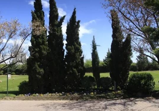 ¿Ya pagaste tu lugar en un cementerio? Entonces leé esto antes de morirte